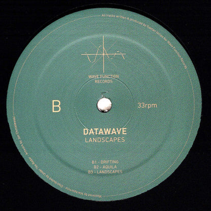 Datawave – Landscapes (12", Wave Function Records, 2025) image 02