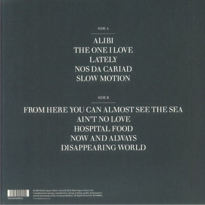 David Gray – Life In Slow Motion (LP, Glacial Blue, Bella Figura Music, 2025) back cover