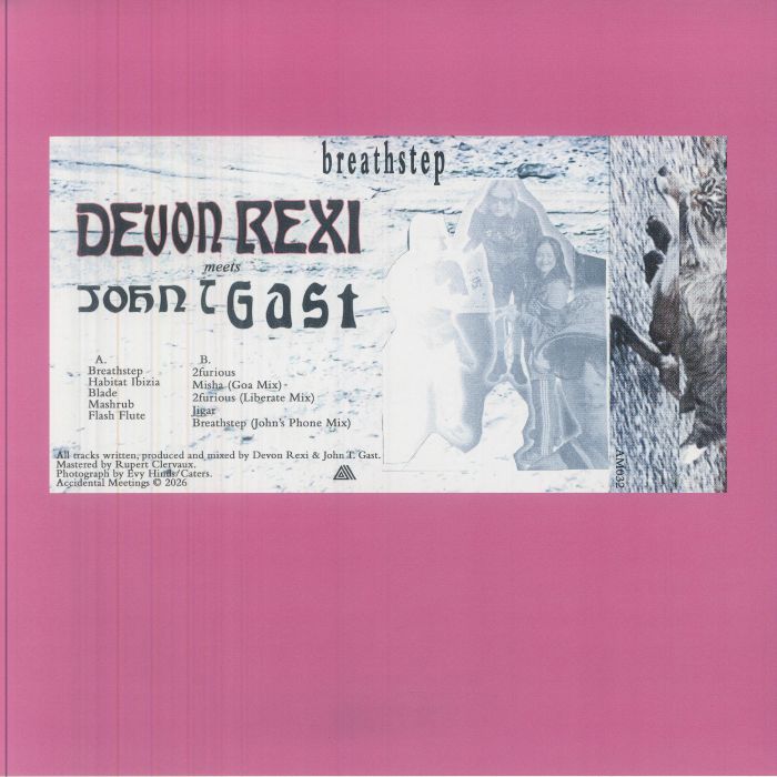 Devon Rexi Meets John T. Gast – Breathstep (LP, Accidental Meetings, 2026) Back Cover