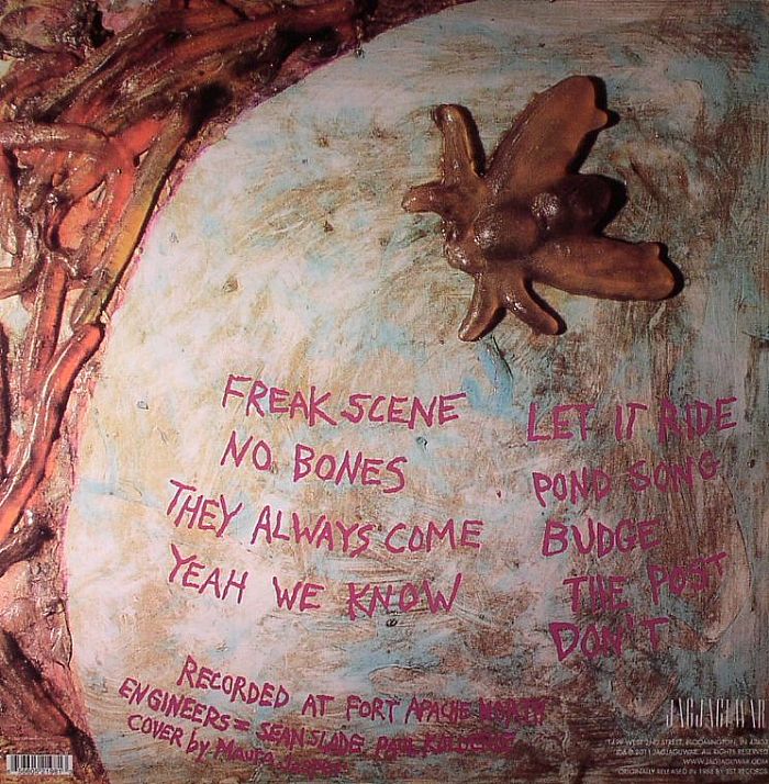 Dinosaur Jr – Bug (LP, Jagjaguwar, 2011) Back Cover