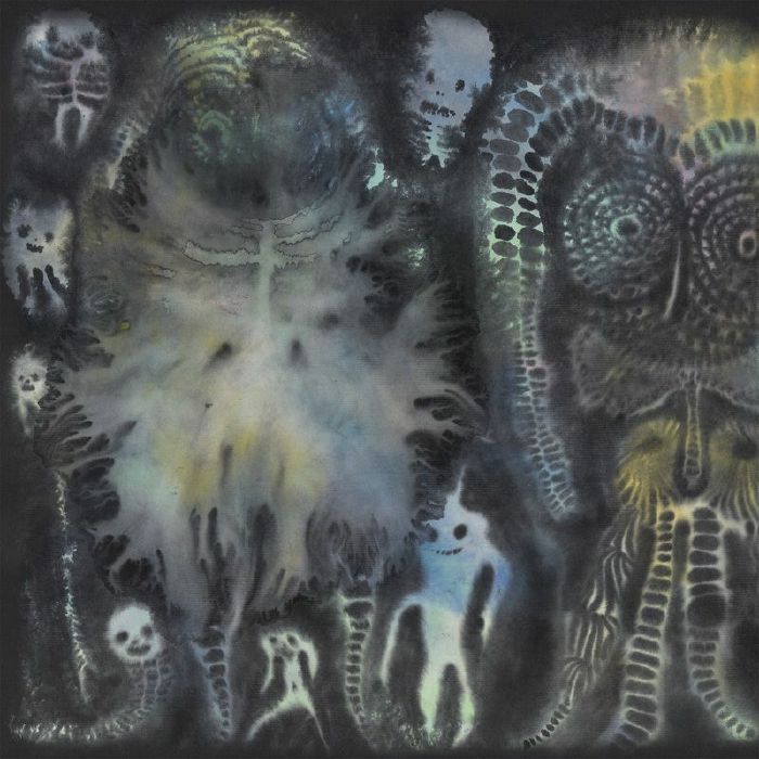 Dinosaur Jr – There Near (LP, Jagjaguwar, 2026) Back Cover