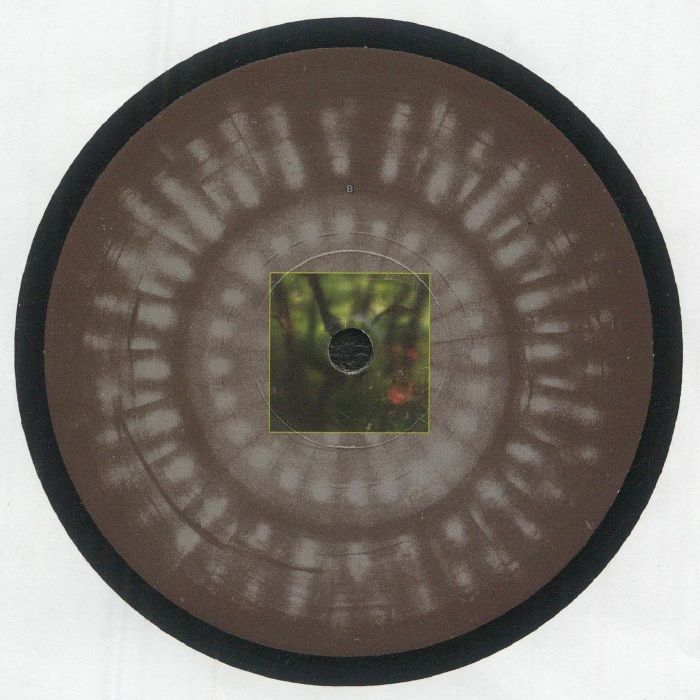 Djfix Jek – Unknown Species (12", Earth Dog, 2026) Back Cover
