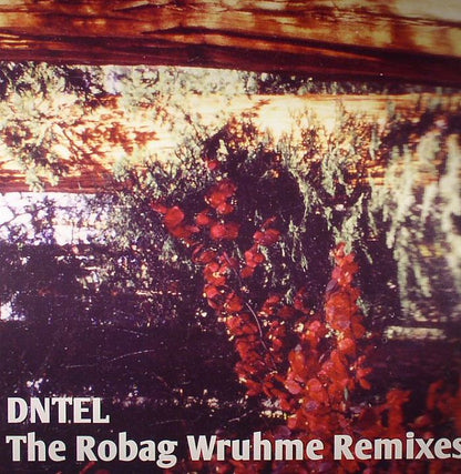 Dntel – The Robag Wruhme Remixes (12", Pampa, 2012) Front Cover