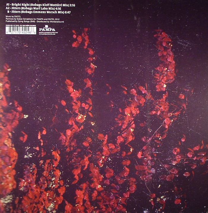 Dntel – The Robag Wruhme Remixes (12", Pampa, 2012) Back Cover