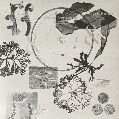 La Tène & Guilhem Lacroux, Jérémie Sauvage & Jacques Puech, Louis Jacques - Abandonnée / Maleja (2xLP)