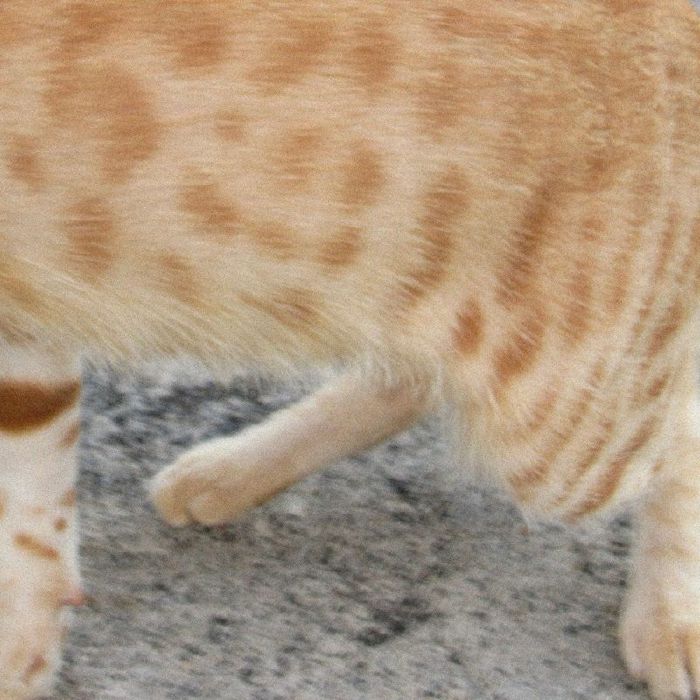 dublon – Nectar (LP, Délicieuse Records, 2025) Front Cover