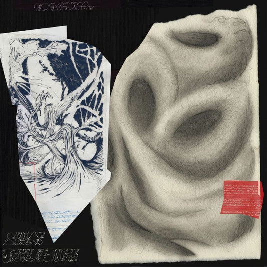 Earth And Bones – Shoals (LP, 180g, We Release Jazz, 2025) front cover