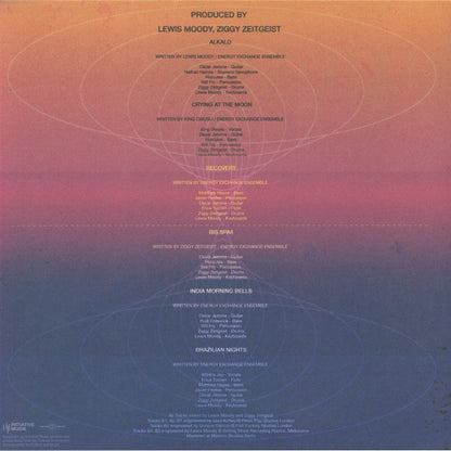 Energy Exchange Ensemble – Energy Exchange Records Vol 2 (LP, Energy Exchange, 2026) Back Cover