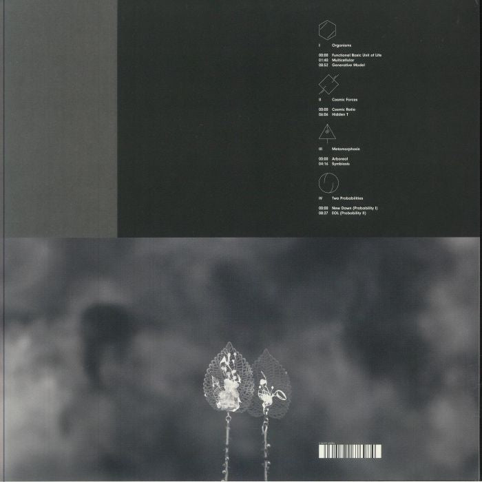 Enrico Sangiuliano – Biomorph (2xLP, Drumcode, 2025) back cover