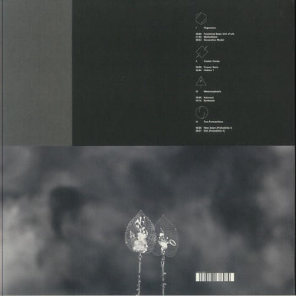 Enrico Sangiuliano – Biomorph (2xLP, Drumcode, 2025) back cover