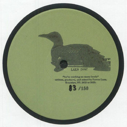 Farren Laen – We're Working On Many Levels (12", Laen Disc, 2025) Front Cover