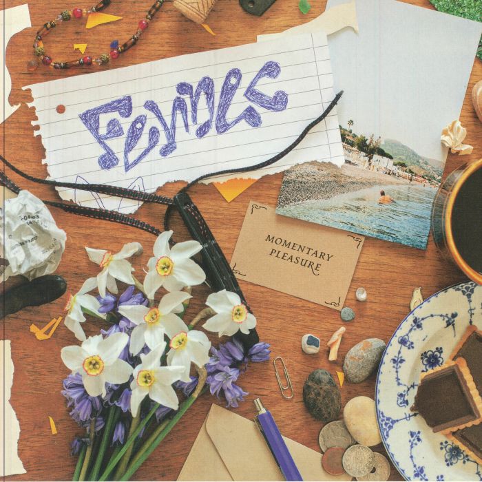 Fennec – Momentary Pleasure (12", Studio Barnhus, 2025) Front Cover