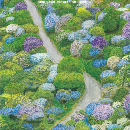Fiddlehead – Between the Richness (LP, Violet, Run For Cover Records, 2023) Front Cover