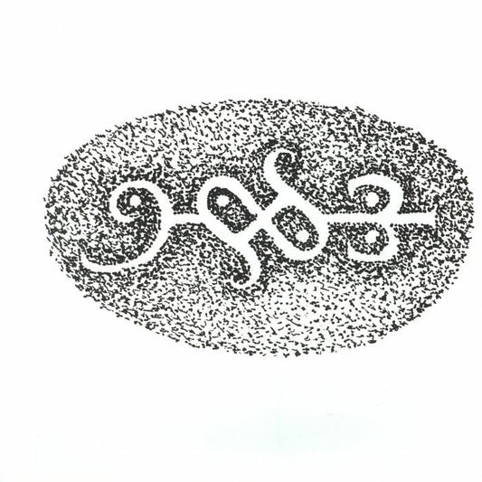 Flora Yin-Wong & Jerzy Mączyński – The Double (10", Accidental Meetings, 2026) Front Cover