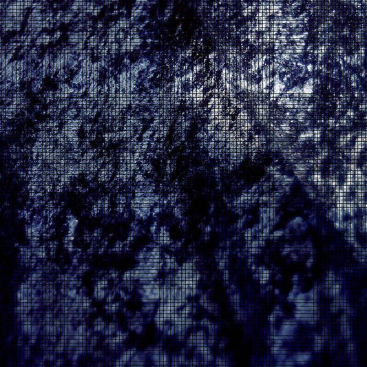 Fort Romeau – Insides (2x12", Ghostly International, 2015) Front Cover