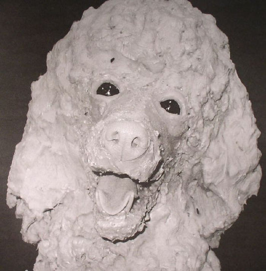Four Legs – Clarky Cat (12", The Trilogy Tapes, 2016) Front Cover