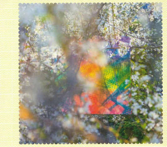 Four Tet – Sixteen Oceans (CD, Text Records, 2020) Front Cover