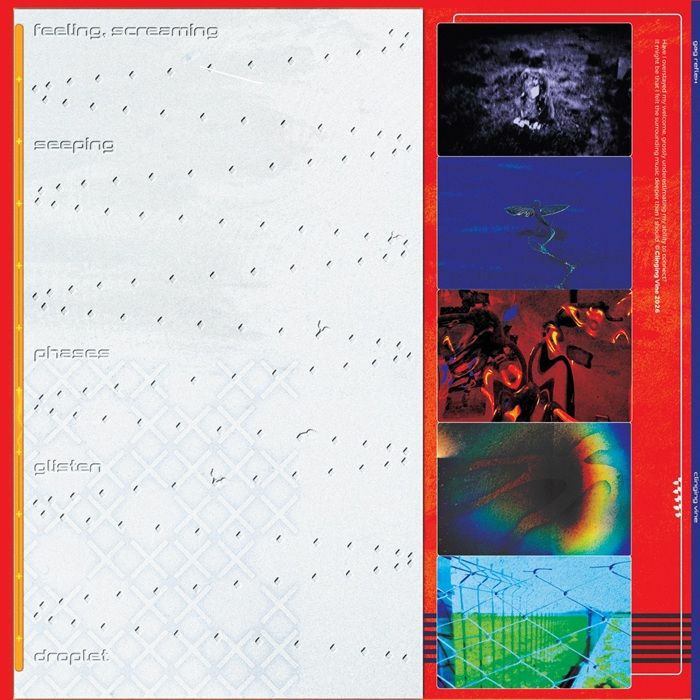 Gag Reflex – Untitled (12", Clinging Vine, 2026) Back Cover