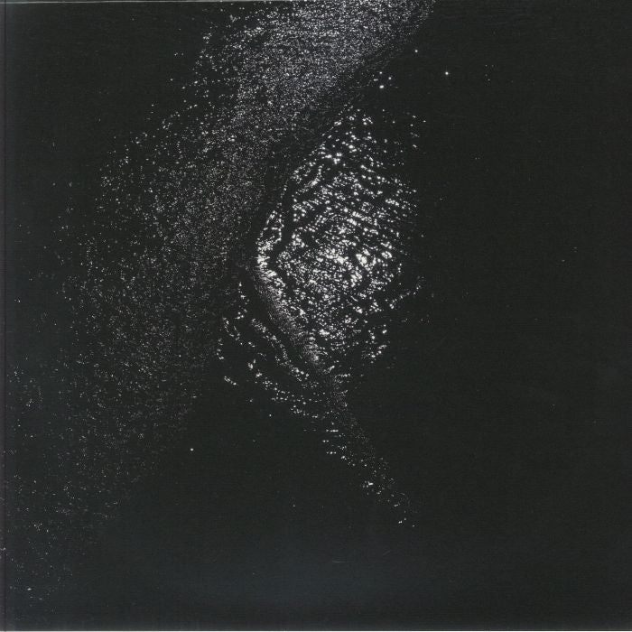Gigi Masin – Implodendo In Una Accecante Oscurità (Pt.2) (LP, Clear, 13, 2025) Front Cover