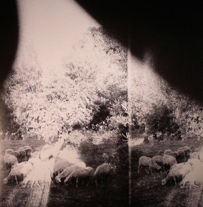 Godspeed You! Black Emperor – Asunder, Sweet And Other Distress (LP, 180 Gram, Constellation, 2015) Front Cover