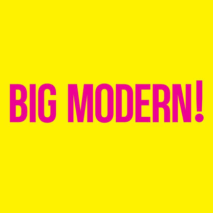 Goose – Big Modern! (2xLP, Gatefold, 180g, No Coincidence Records, 2026) Back Cover