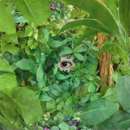 関根真理 Mari Sekine – Beginning (12", EM Records, 2019) Front Cover