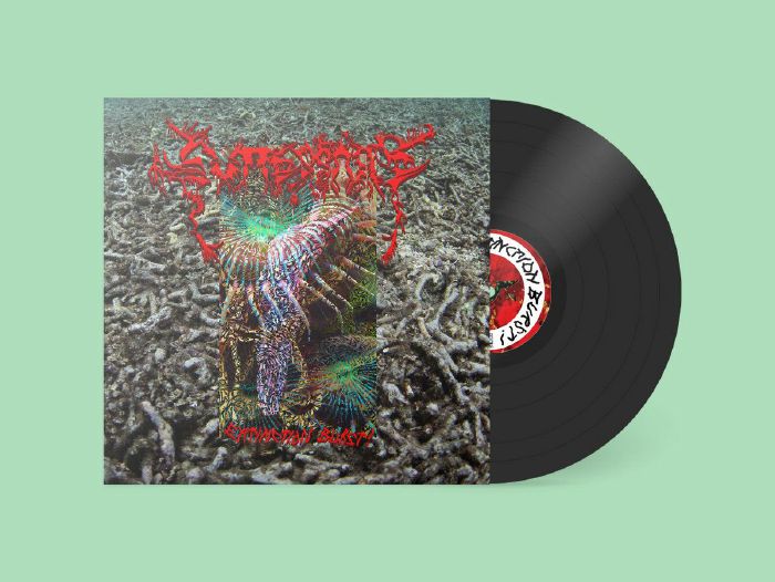 Guttersnipe – Extinction Burst! (12", NIGHT SCHOOL, 2026) Front Cover