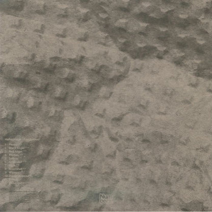 Hallucinator – Landlocked (2xLP, Numbers., 2026) Back Cover
