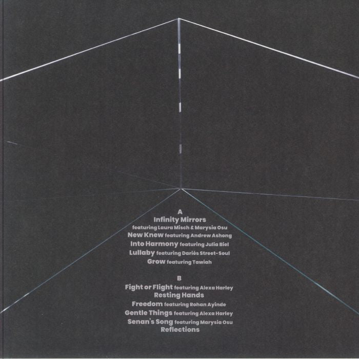 Hector Plimmer – Infinity Mirrors (LP, Albert's Favourites, 2025) Back Cover
