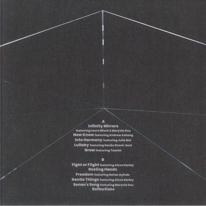 Hector Plimmer – Infinity Mirrors (LP, Albert's Favourites, 2025) Back Cover