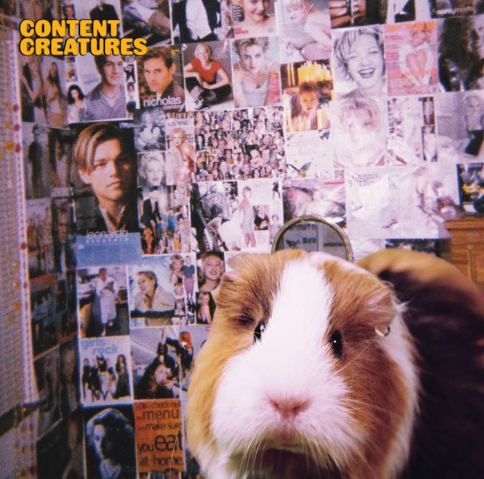 Helmut – Content Creatures (LP, WAS-Worldandsound, 2026) Front Cover
