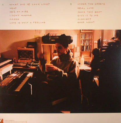 Homeshake – Midnight Snack (LP, Sinderlyn, 2015) Back Cover