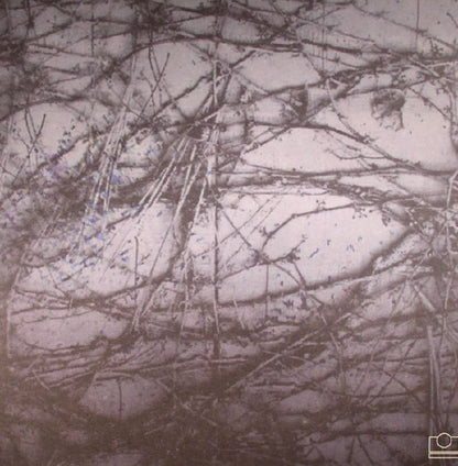 Human Rays – A Tension (LP, 180g, Further Records, 2016) Back Cover