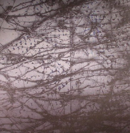 Human Rays – A Tension (LP, 180g, Further Records, 2016) Front Cover