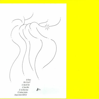 Ido Plumes – What To See EP (12", Baroque Sunburst, 2026) Back Cover