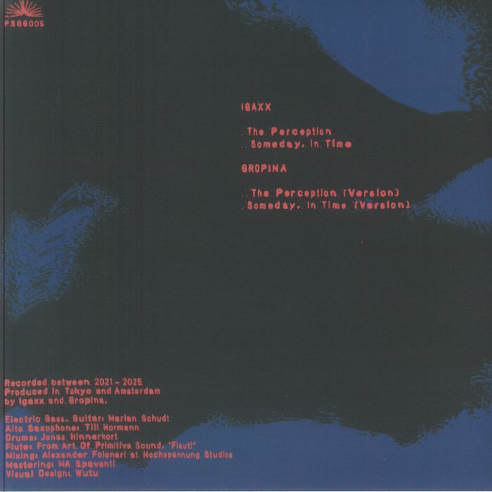 Igaxx Gropina – The Perception (12", Split, Paesaggi Records, 2026) Back Cover