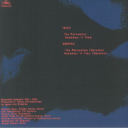 Igaxx Gropina – The Perception (12", Split, Paesaggi Records, 2026) Back Cover