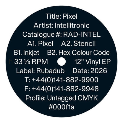 Intellitronic – Pixel (12", Rubadub, 2026) Back Cover
