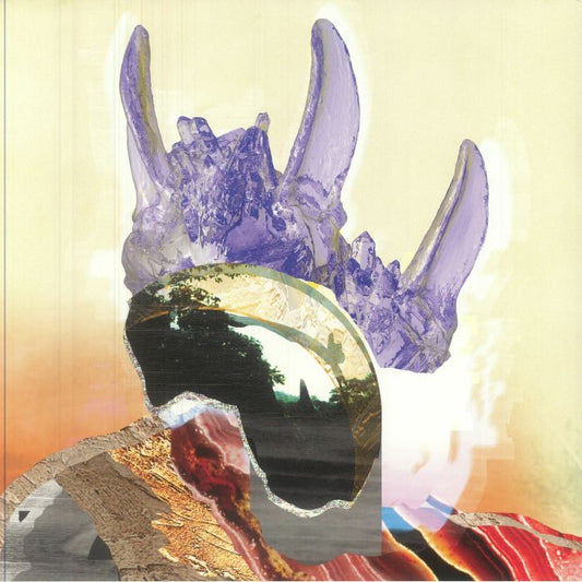 Jadu Heart – Wanderflower / Ezra's Garden (LP, Double EP, Anchor Point Records, 2017) Front Cover