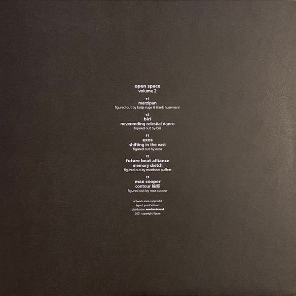 Various – Open Space Volume 2 (3x12", 180g, Figure, 2022) Image 12
