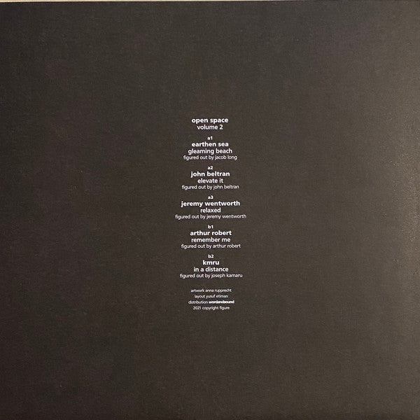Various – Open Space Volume 2 (3x12", 180g, Figure, 2022) Image 4