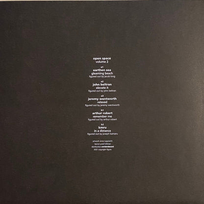 Various – Open Space Volume 2 (3x12", 180g, Figure, 2022) Image 4