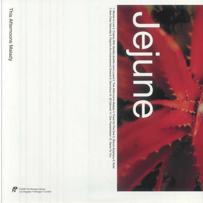 Jejune – This Afternoons Malady (2xLP, Numero Group, 2025) Back Cover