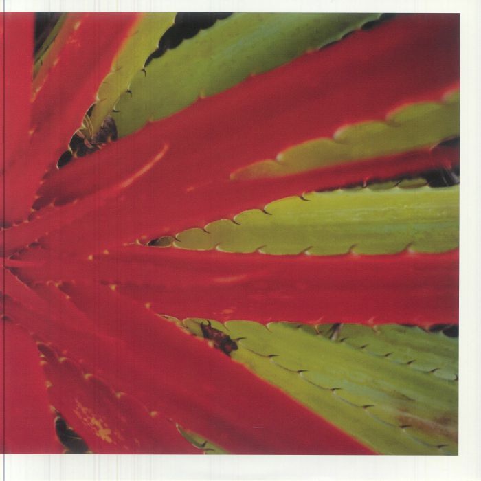 Jejune – This Afternoons Malady (2xLP, Numero Group, 2025) Front Cover