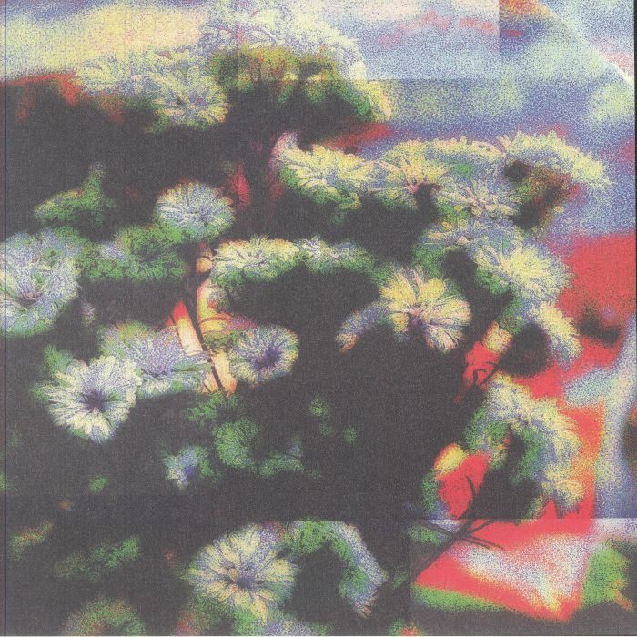 Jinjé A. Montane – Neon Garden EP (12", Mesh, 2025) Front Cover