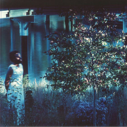 JJJJJerome Ellis – Vesper Sparrow (LP, Shelter Press, 2025) Front Cover