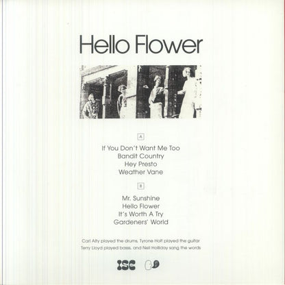 Joanna – Hello Flower (LP, New Feelings, 2026) Back Cover