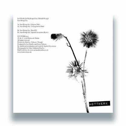 Jon Dasilva Skyskrapa Donald Waugh – Sun Brings Joy (12", Hottwerk Records, 2026) Back Cover