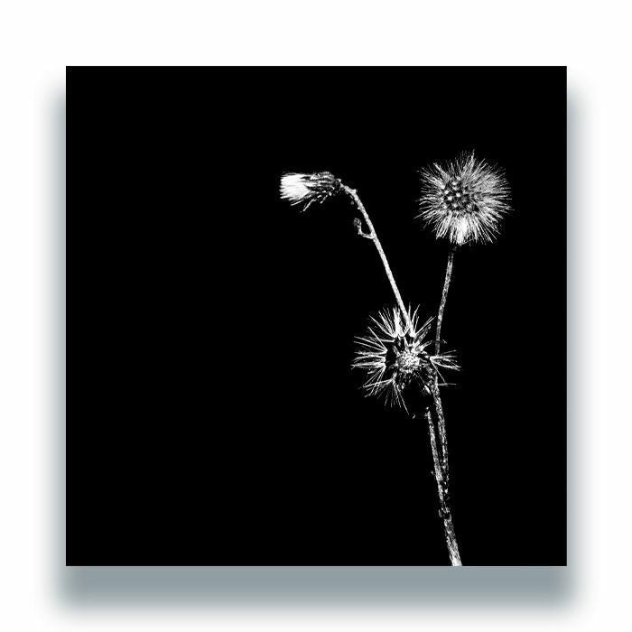 Jon Dasilva Skyskrapa Donald Waugh – Sun Brings Joy (12", Hottwerk Records, 2026) Front Cover