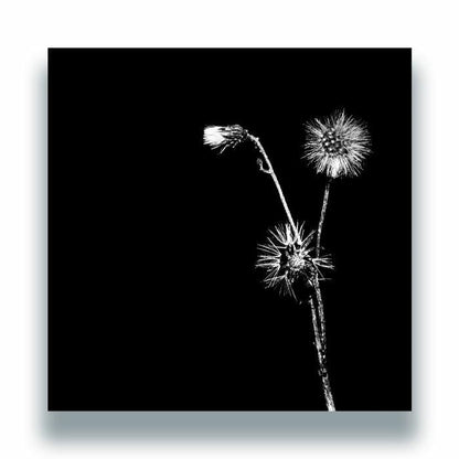 Jon Dasilva Skyskrapa Donald Waugh – Sun Brings Joy (12", Hottwerk Records, 2026) Front Cover